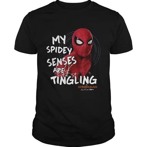 Spiderman mascot clothing: Become a part of the Spider-Verse